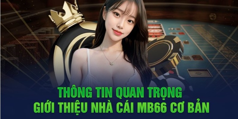 Vg99com là một thương hiệu game cung cấp dịch vụ cá cược miễn phí - Vg99