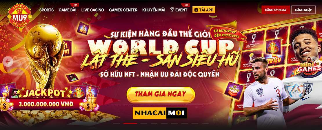 Các hoạt động và chính sách ưu tiên của Ku11 - Ku11
