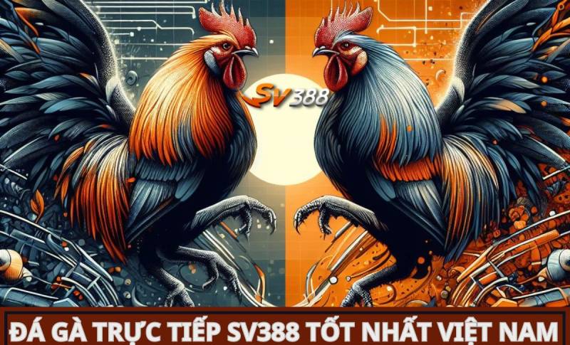 Bong88 Net cung cấp rất nhiều tài nguyên trò chơi - Bong88