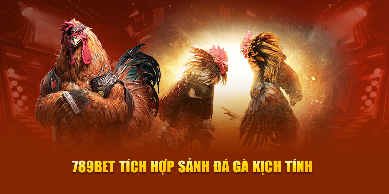 Xếp hạng S666, mức cao nhất trong lĩnh vực vận động hành lang thể thao - S666