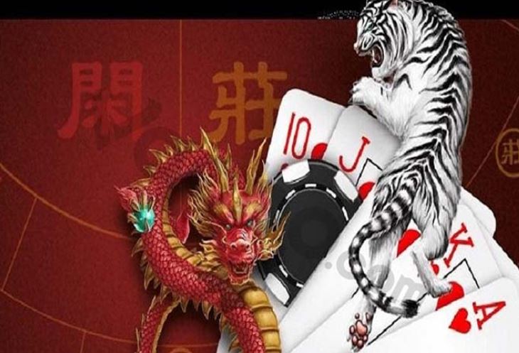 Đăng ký làm đại lý blog Tt88 và nhận ngay ưu đãi giảm giá 50% - Tt88