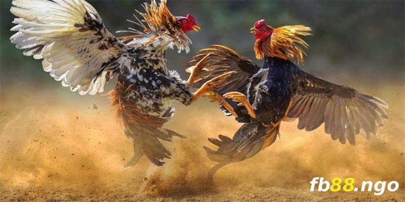 Bảng tổng hợp tỷ lệ cược của một số công ty game cấp Pho88 nổi tiếng - Pho88