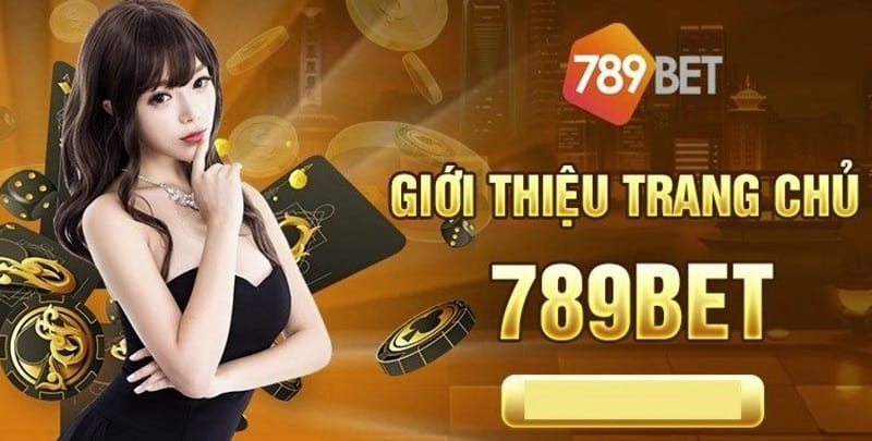 Bạn biết gì về 365Vn Online Playground? - 365Vn