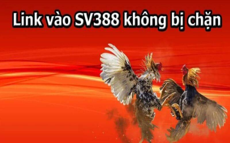 Tại sao nên đặt cược vào các trận đấu bóng đá cấp độ Qqvn? - Qqvn
