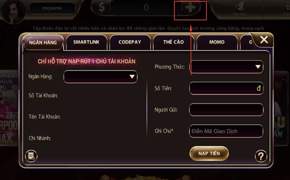 Hướng dẫn đăng nhập 9Fun đơn giản nhất - 9Fun