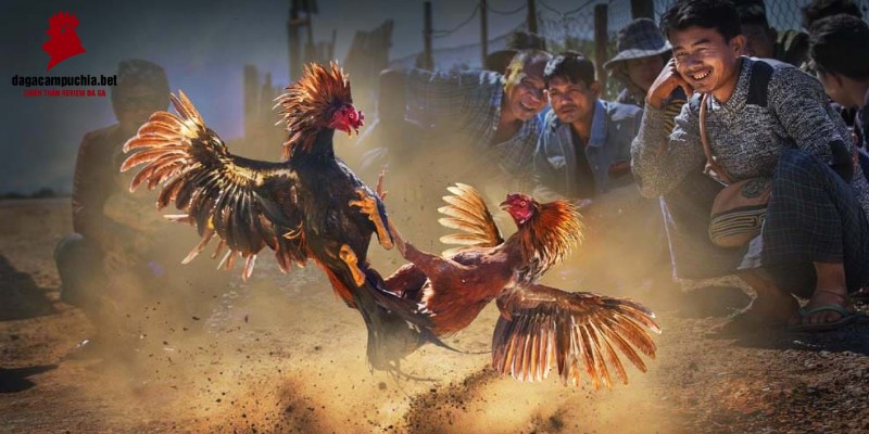 Làm thế nào để gia nhập một hiệp hội R98 trực tuyến hàng đầu? - R98
