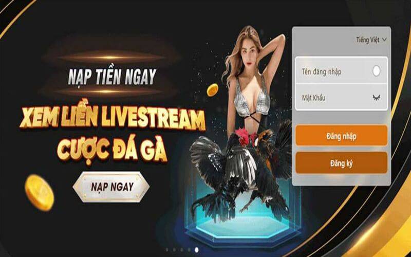 Bản tin đặc biệt về thể thao Benbet - Benbet