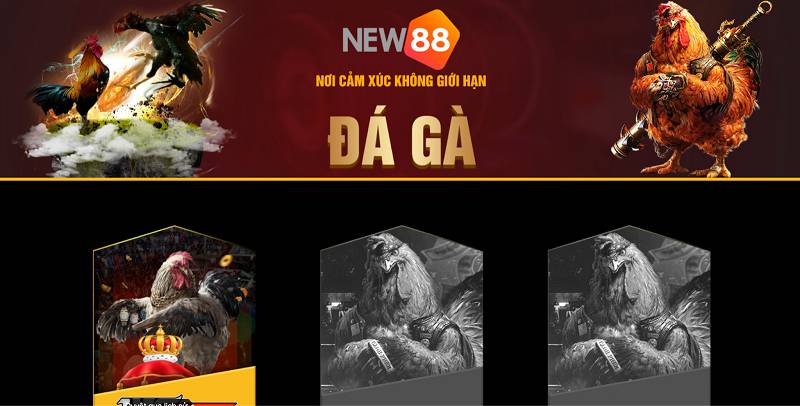 Thăng cấp người chơi cấp Betcom - Betcom