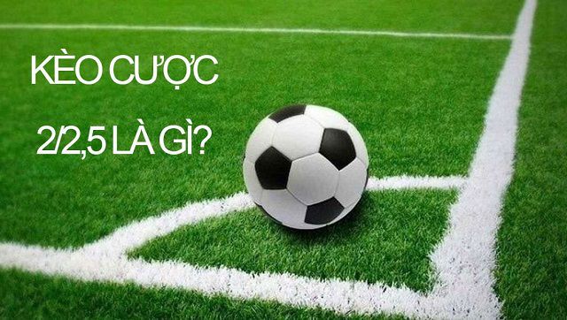 Một số vấn đề thường gặp khi đặt cược với các công ty cá cược được xếp hạng Z8bet - Z8bet