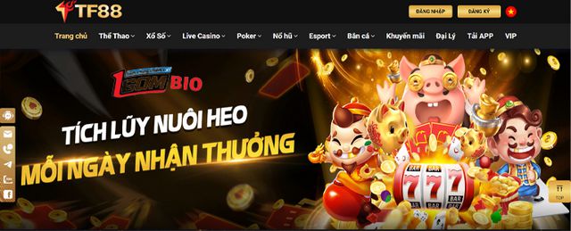 Sự thật đằng sau những tin đồn rằng Banca30 là một trò lừa đảo là gì? - Banca30
