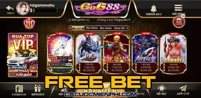 Giải đấu Fb9 Games (American Super Game Fb9) có nguồn gốc từ đâu? - Fb9