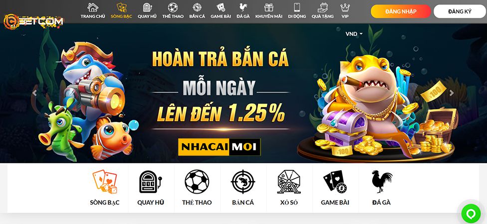 Câu lạc bộ Cm88 – Hoạt động siêu tốc trong mọi điều kiện thời tiết - Cm88